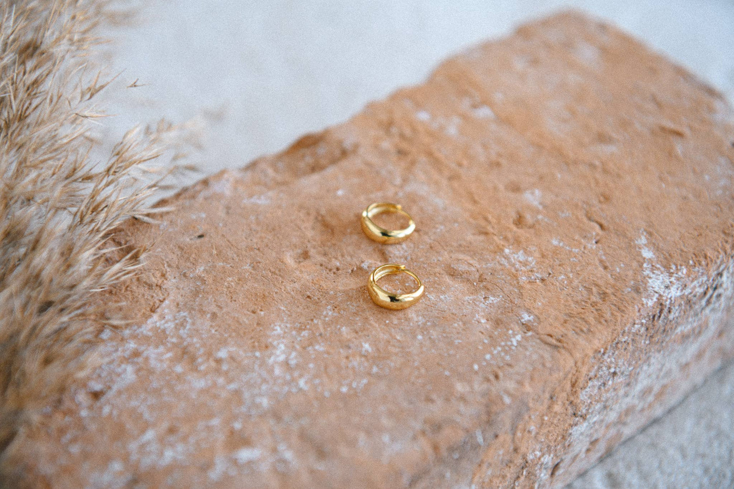 Golden Earth Water-Resistant Stainless-Steel Earrings